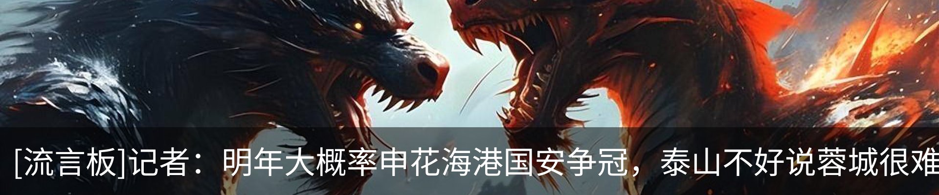 最新动态
